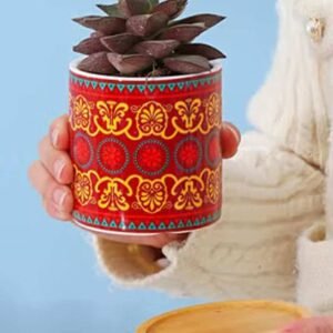 Buy Red Tag Pot Mini - Affordable Plant Pots