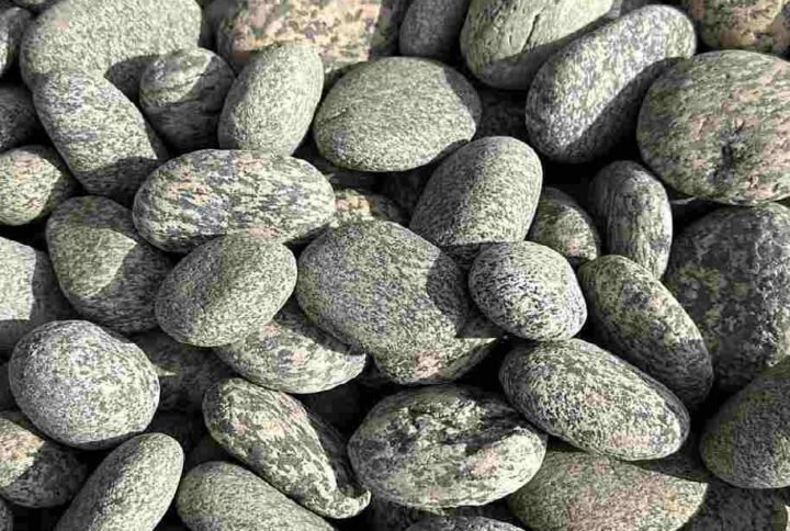 Buy Ripple Stone Online in UAE - Plantshop.me