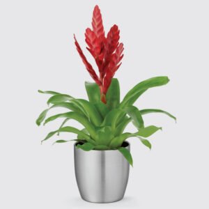 Buy Streamline Aluminium Silver Pots | Plantshop.me