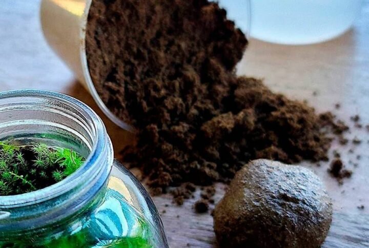 Buy Terrarium Modeling Soil Mix for Perfect Mini Gardens