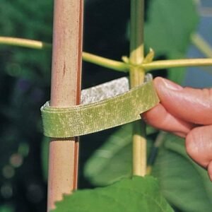 Buy Velcro Plant Tie | Plantshop.me UAE