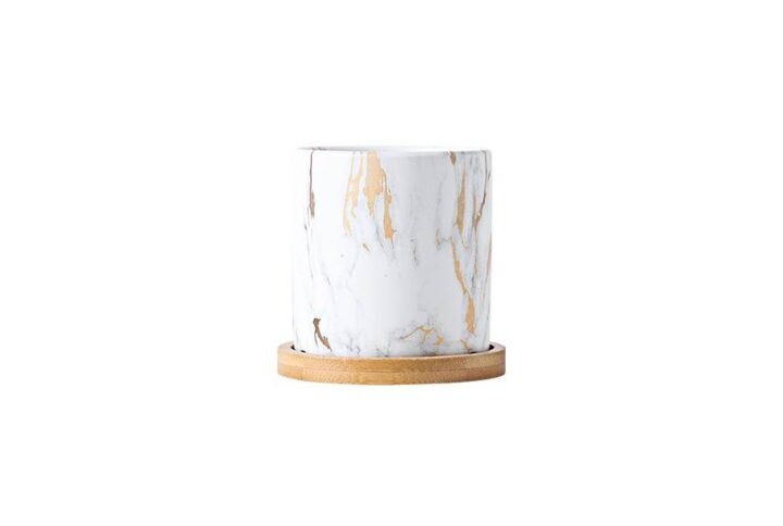 Buy Wavy Mini Pot - Unique and Stylish Planter at Plantshop.me