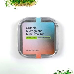 Buy White Radish Mini Microgreen Grow Kit - Plantshop.me