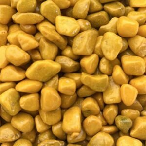 Buy Yellow Stone Colored Plants Online - Plantshop.me UAE