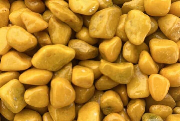 Buy Yellow Stone Colored Plants Online - Plantshop.me UAE