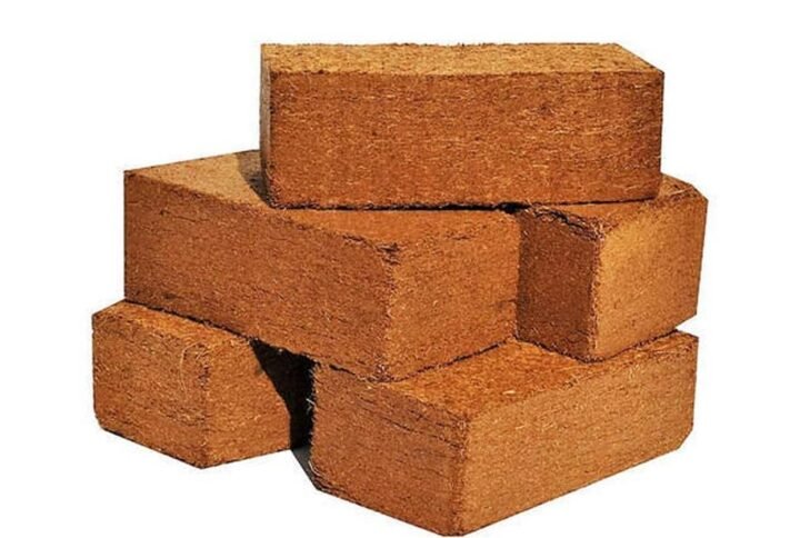 Coco peat block - Plant Care | Plantshop.me