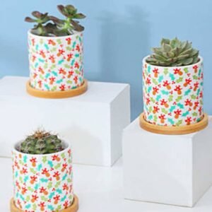 Coloro Mini Pot - Pots | Plantshop.me
