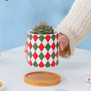 Crosso Mini Pot - Pots | Plantshop.me