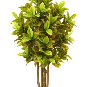 Croton Branched Artificial: Lifelike Plants at Plantshop.me