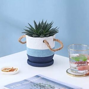 Dual Tone Pot - Pots | Plantshop.me