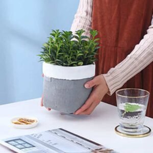 Elegant Ceramic Planter | Plantshop.me UAE