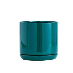 Elegant Oscar Ceramic Pot | Indoor Plant Decor | Plantshop.me
