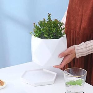 Elegant White Poly Ceramic Pots | Plantshop.me UAE