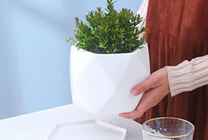 Elegant White Poly Ceramic Pots | Plantshop.me UAE