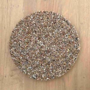 Garden Epoxy Stepping Earth Stone - Buy at Plantshop.me