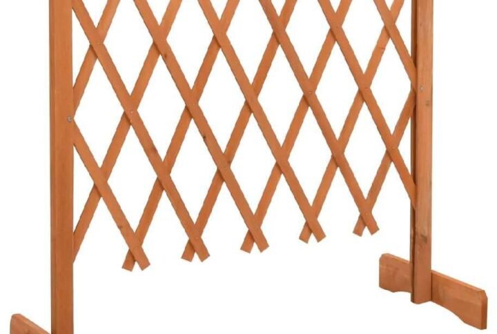 Garden Wooden Trellis Fence - Accessories | Plantshop.me