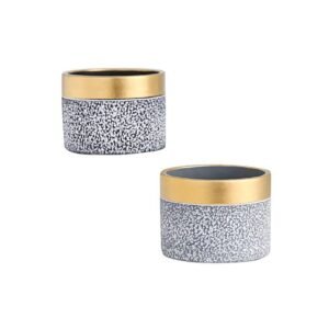 Goldline Pot - Pots | Plantshop.me