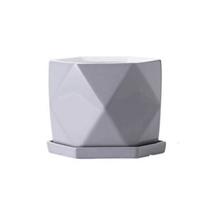 Grey Glazy Poly Ceramic Pot: Stylish Planters | Plantshop.me