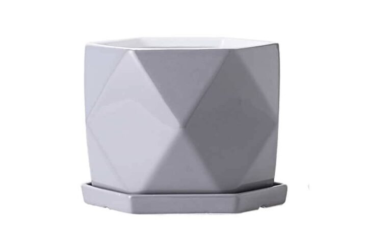 Grey Glazy Poly Ceramic Pot: Stylish Planters | Plantshop.me