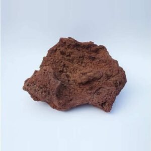 Large Lava Rocks - Plant Care | Plantshop.me