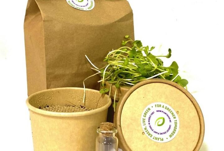Microgreens Grow Kit - Grow Kits - Seeds | Plantshop.me