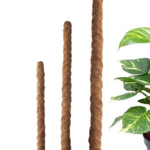 Moss Plant Support Stick - Gardening Accessories | Plantshop.me
