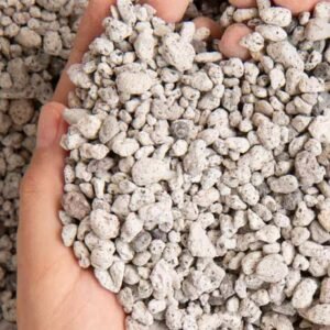Natural Pumice Stones for Plants - Plant Care | Plantshop.me