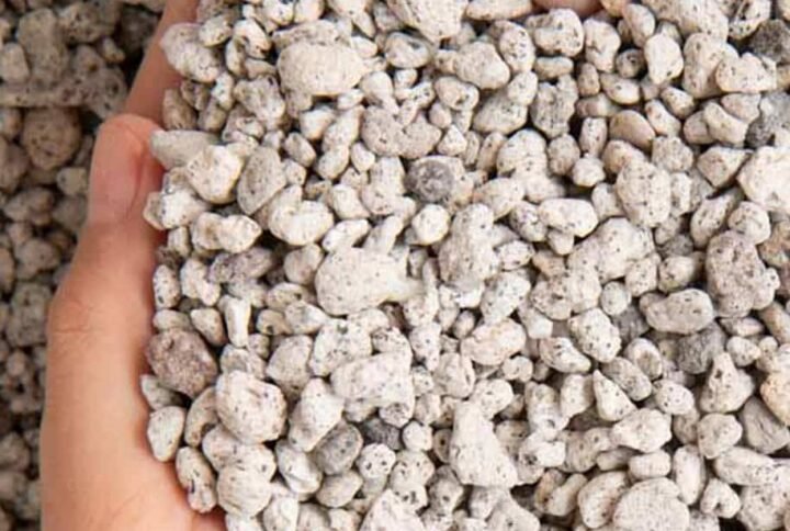 Natural Pumice Stones for Plants - Plant Care | Plantshop.me