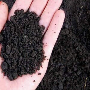 Organic Loam Soil - Plant Care | Plantshop.me