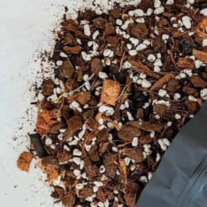Perfect Aroid Soil Mix: Boost Plant Growth | Plantshop.me