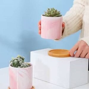 Pink Cheese Mini Pot - Pots | Plantshop.me
