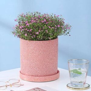 Pinkie Pot- Indoor Pots - Pots | Plantshop.me