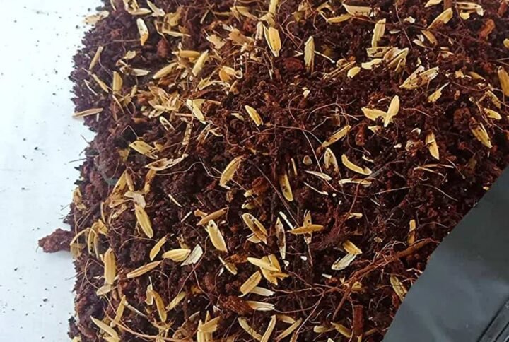 Premium Aeration Soil Mix: Nurture Your Plants | Plantshop.me