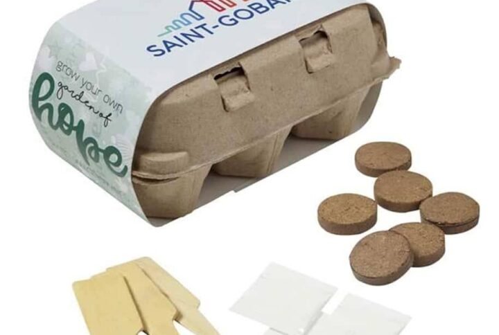 Recycled Egg Tray Grow Kit: Eco-Friendly Corporate Gifts UAE