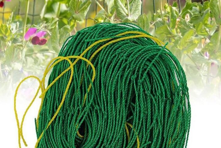Shop Plant Trellis at Plantshop.me | UAE Delivery