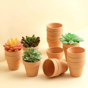 Shop Tiny Terracotta Pot Online at Plantshop.me UAE
