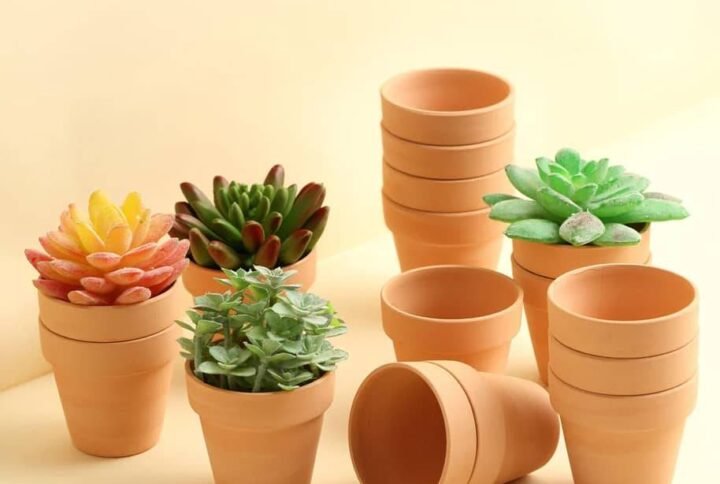 Shop Tiny Terracotta Pot Online at Plantshop.me UAE