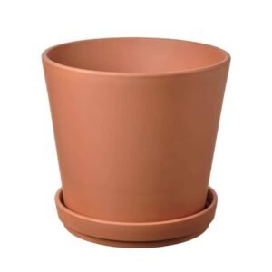 Terrano Terracotta Pots - Buy Terracotta Planters at Plantshop.me