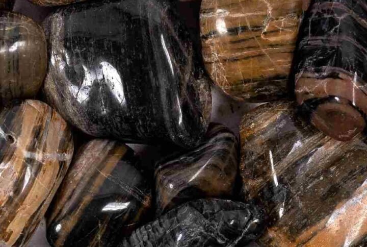 Tiger Stone Polished - Gardening Accessories | Plantshop.me