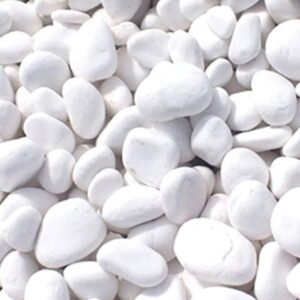 White Stone - Plant Care | Plantshop.me