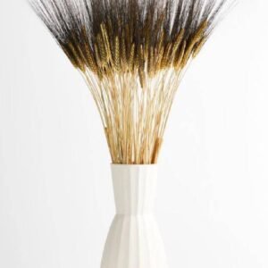 Dried Triticum (Wheat) - Blackbeard Bunch | Plantshop.me UAE