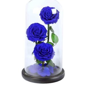Forever Rose 3 In Glass Dome Blue - Preserved & Dried Flower Arrangements | Plantshop.me