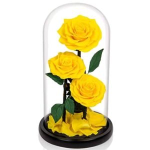 Forever Rose 3 In Glass Dome Yellow - Preserved & Dried Flower Arrangements | Plantshop.me