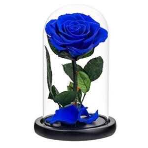 Forever Rose Single Blue Preserved: Timeless Elegance