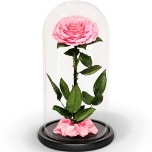 Forever Rose Single Sweet Pink - Preserved & Dried Flower Arrangements | Plantshop.me