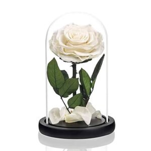 Forever Rose Single White - Preserved & Dried Flower Arrangements | Plantshop.me