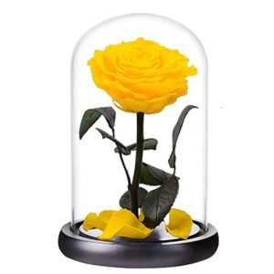 Forever Rose Single Yellow - Preserved & Dried Flower Arrangements | Plantshop.me