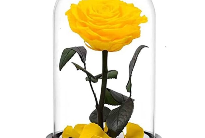 Forever Rose Single Yellow - Preserved & Dried Flower Arrangements | Plantshop.me
