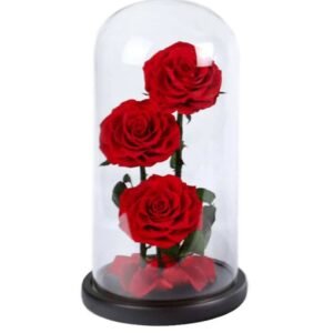 Preserved Forever Rose 3 In Glass Dome Red - Plantshop.me