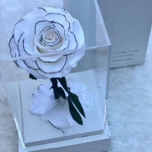 Preserved Forever Rose Single Square White - Plantshop.me UAE